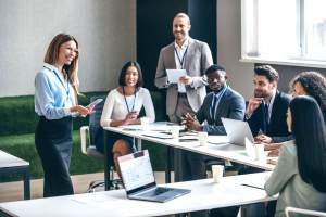 Organizational Assessment Consulting