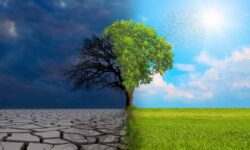 Eureka Operational Excellence Maturity Roadmap™
